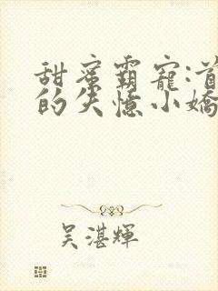 甜蜜霸宠:首席的失忆小娇妻小说