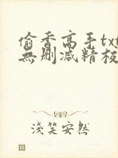 偷香高手txt无删减精校版