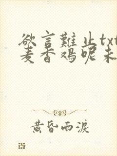 欲言难止txt麦香鸡呢未删减