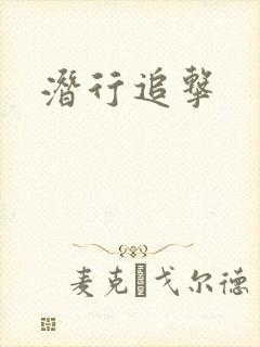 潜行追击