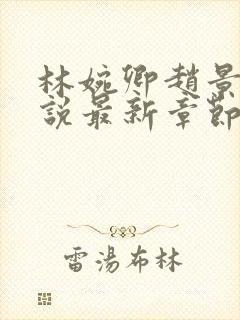 林婉卿赵景玄小说最新章节更新情况介绍详细封面