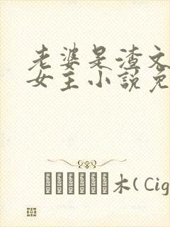 老婆是渣文大佬女主小说免费阅读