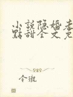 小说隐婚老公有点甜全文免费阅读封面