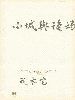 小城与后妈封面