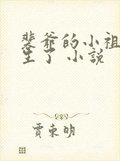 裴爷的小祖宗重生了 小说