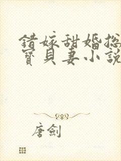 错嫁甜婚总裁的宝贝妻小说完整