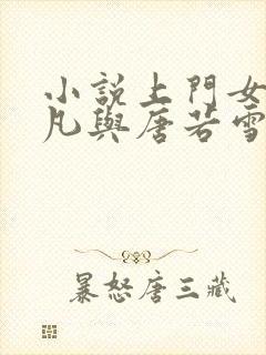 小说上门女婿叶凡与唐若雪