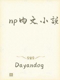 np肉文小说