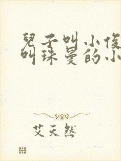 儿子叫小俊妈妈叫珠曼的小说封面