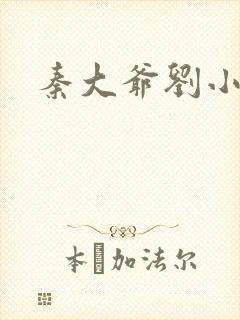 秦大爷刘小静封面