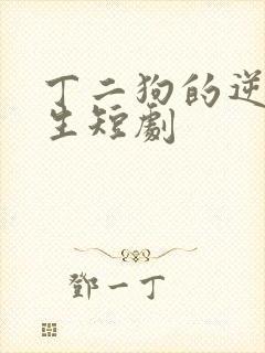 丁二狗的逆袭人生短剧封面