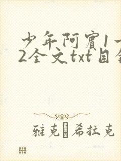 少年阿宾1一72全文txt目录封面