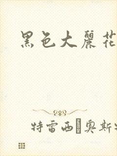 黑色大丽花图片