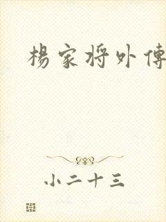 杨家将外传