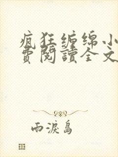 疯狂缠绵小说免费阅读全文最新