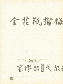 金花瓶楷梅花4封面
