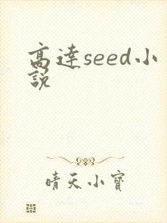 高达seed小说封面