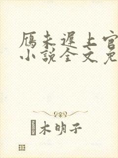 雁未迟上官穿越小说全文免费阅读封面