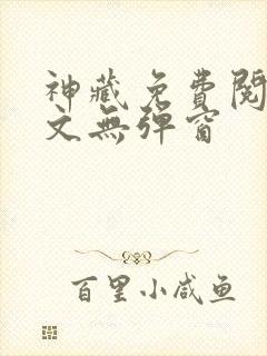 神藏免费阅读全文无弹窗
