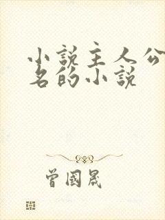 小说主人公刘伟名的小说