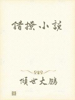 错撩小说