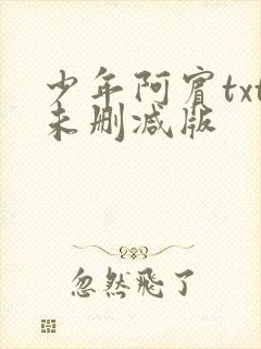 少年阿宾txt未删减版