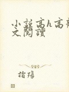 小说高h高辣全文阅读