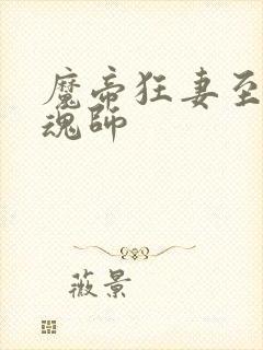 魔帝狂妻至尊控魂师封面
