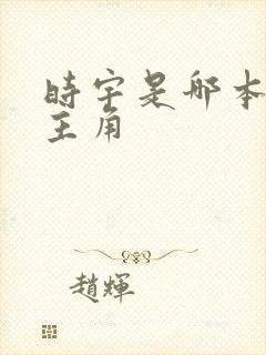 时宇是哪本小说主角封面