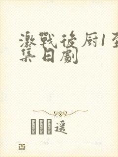 激战后厨1至5集日剧