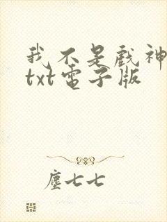 我不是戏神小说txt电子版封面