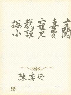 总裁宠妻有点甜小说免费阅读封面
