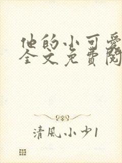 他的小可爱小说全文免费阅读
