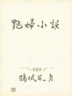 艳妇小说