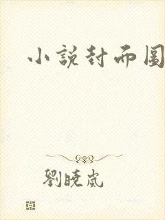 小说封面图