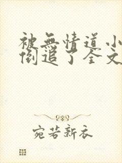 被无情道小师弟倒追了全文封面