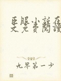 臣服小说在线全文免费阅读笔趣阁无弹窗