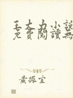 王大力小说小说免费阅读无弹窗