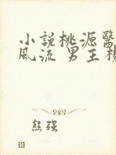 小说桃源医仙不风流 男主杨尘