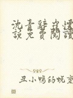 沈青辞崔怀瑾小说免费阅读最新章节封面