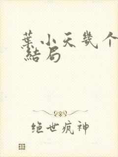 叶小天几个老婆 结局