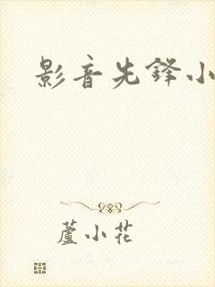 影音先锋小说