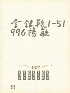 金银瓶1-51996杨敏封面