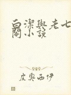 白洁与老七笔趣阁小说封面