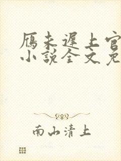 雁未迟上官穿越小说全文免费阅读