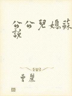 公公儿媳苏晴小说