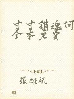 寸寸销魂何生祥全本免费