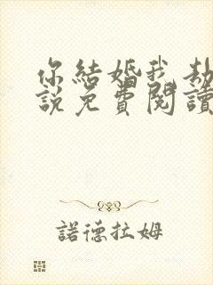 你结婚我劫婚小说免费阅读