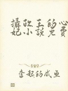摄政王的心尖宠妃小说免费