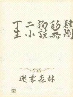 丁二狗的肆意人生小说无删减
